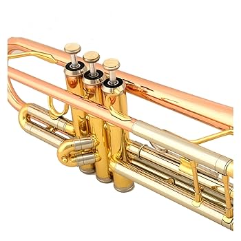 B♭トランペット ゴールド ケース付き 楽天市場】YAMAHA ヤマハ YTR-8335G トランペット 正規品 Xeno